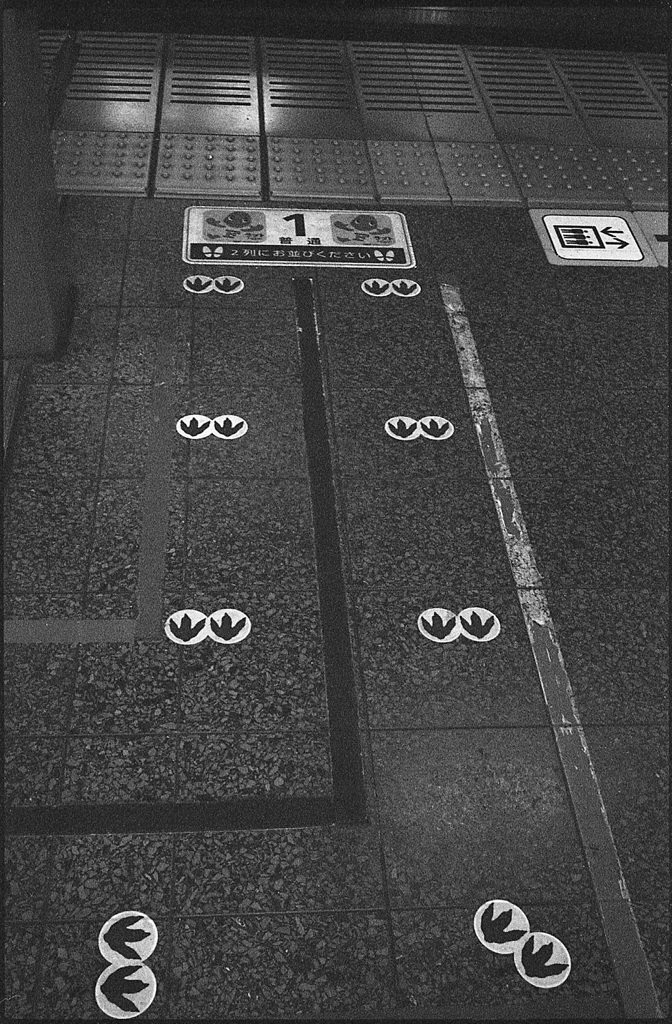 恐竜の足あと