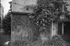 ジャングルハウス２