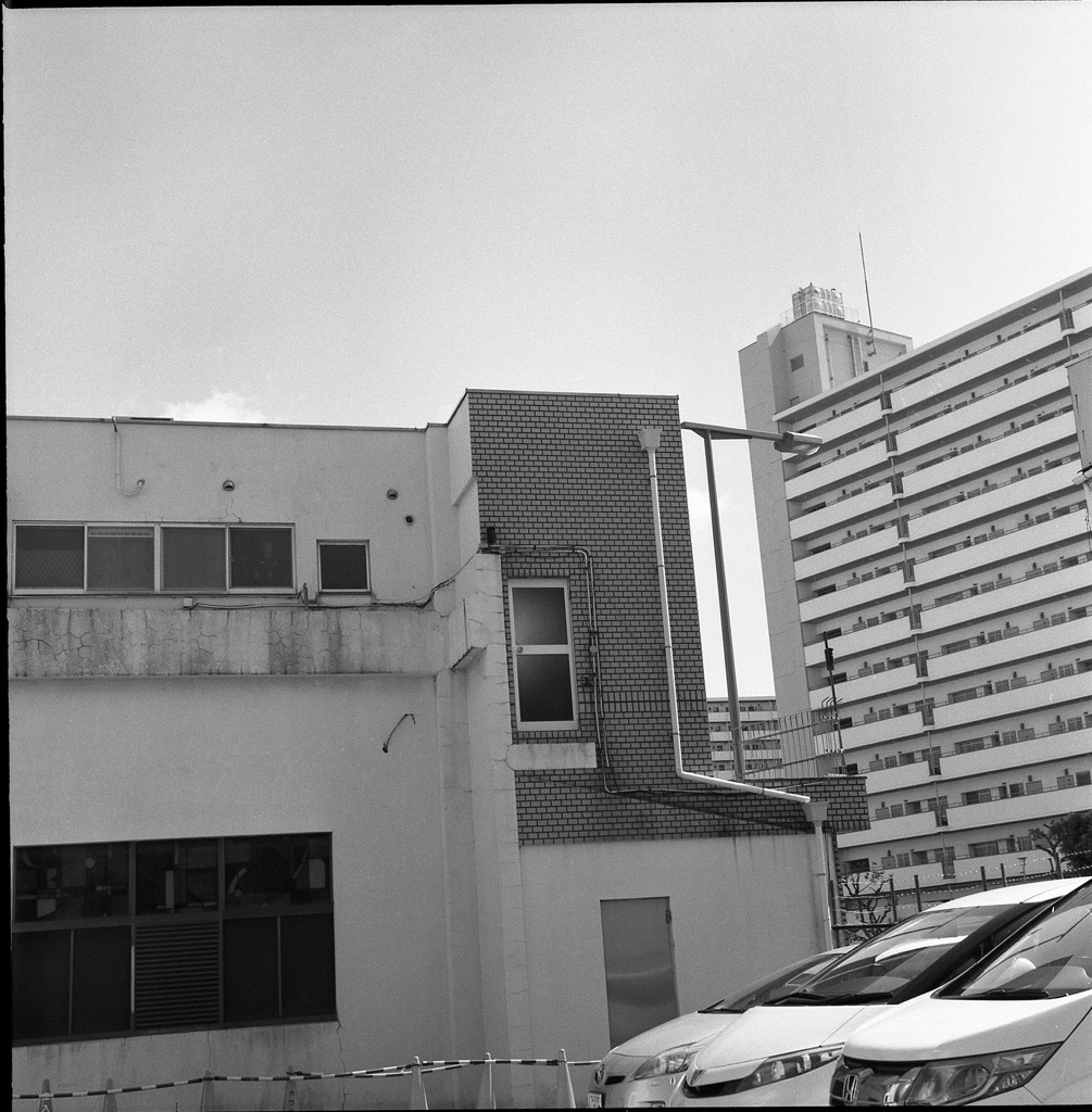 ドア