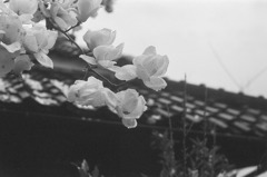 雨の日