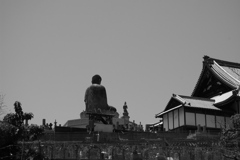 大仏の背中