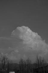 雲と蜻蛉