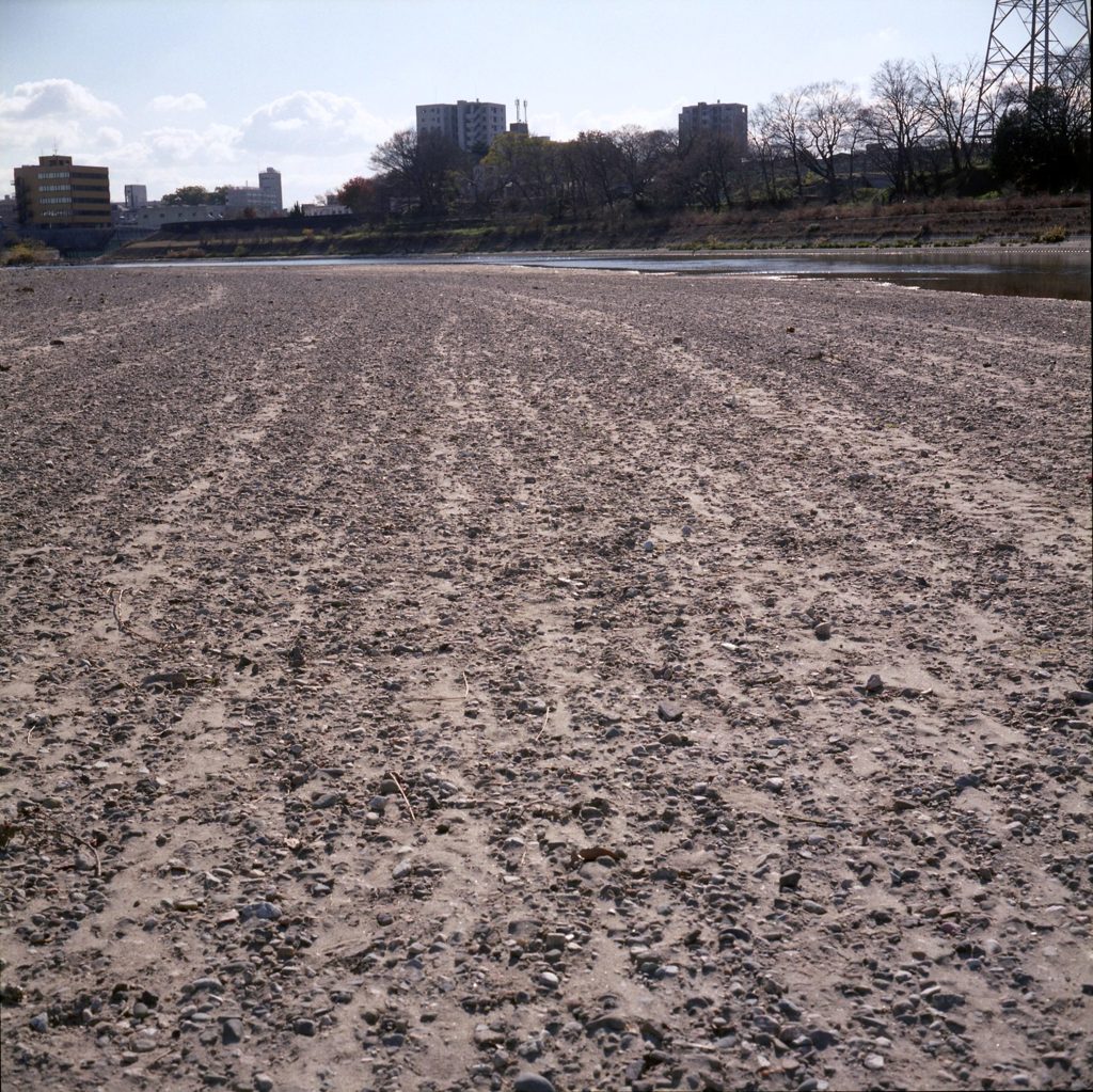 河川敷を歩く～大和川５