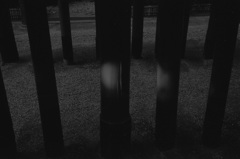 スポットライト