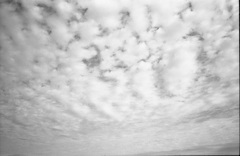 雲