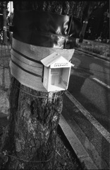 こどもぎゃらりー（準備中）