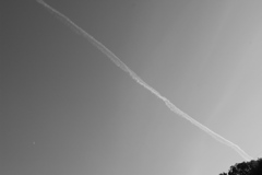 飛行機雲