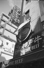 つじ川さんは見た！