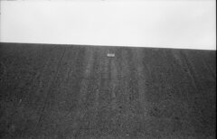 No33