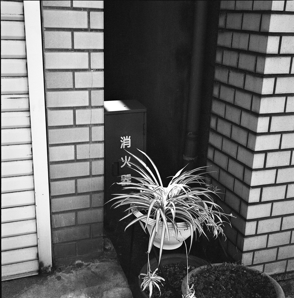 備え