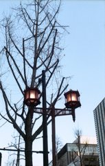 街燈　～本町