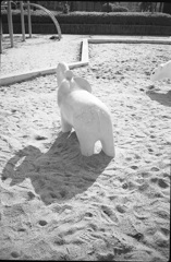 象さんとちょこっと白くま