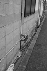 う回