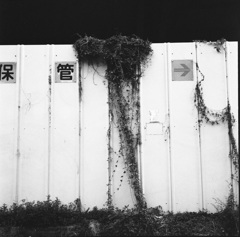 呆管？➔