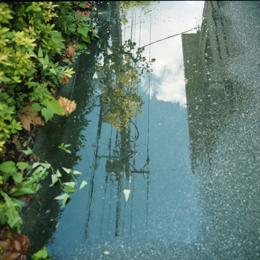 雨のち晴れ