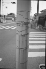 傷だらけの電柱