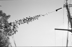 てっぺん目指せ！