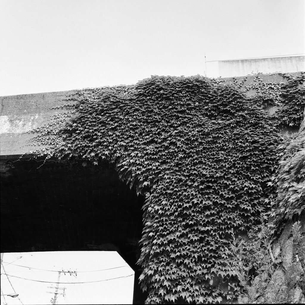 廃線７