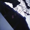 散歩の途中～残柿