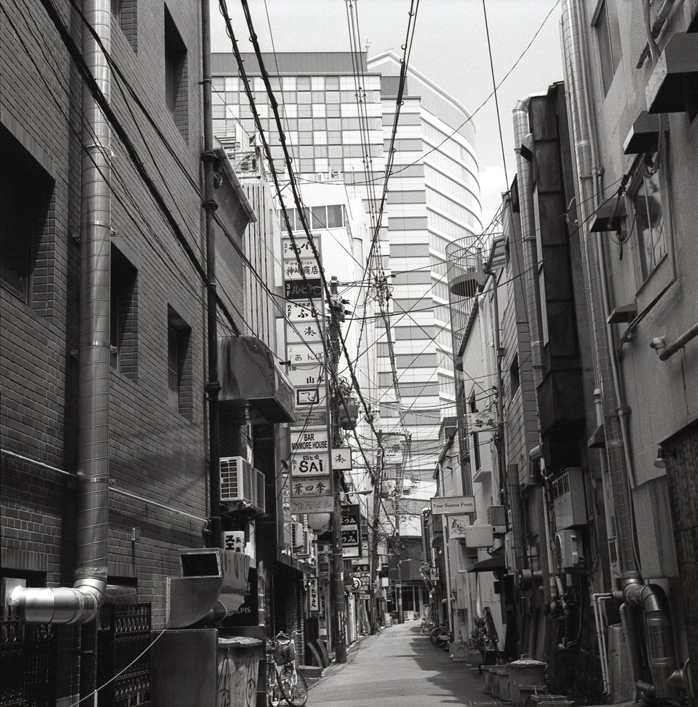 裏通り