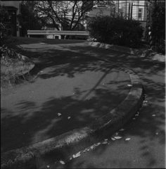 S字カーブ