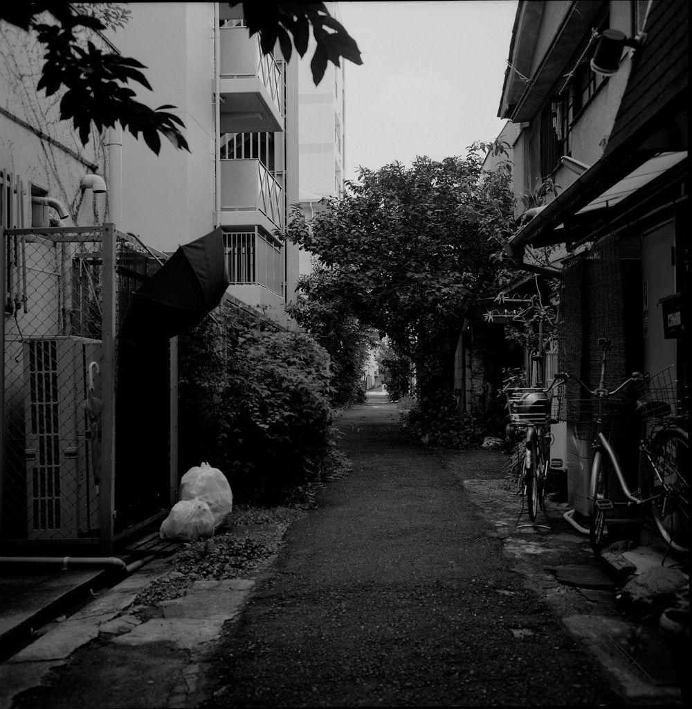 路地