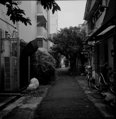 路地