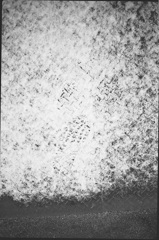 雪の降った朝６