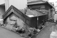 加賀谷家防空壕２