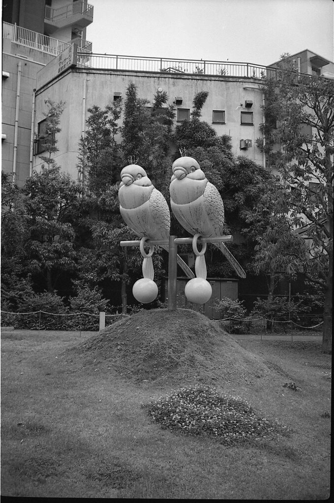 Birds