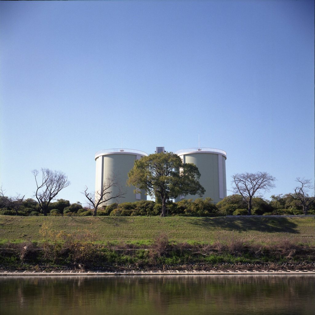 河川敷を歩く～大和川４