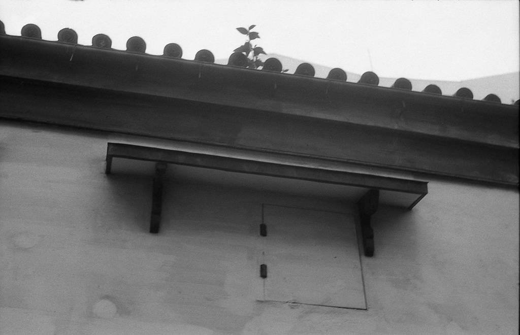 窓