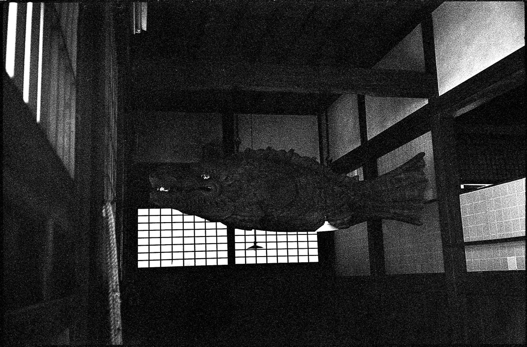 木魚
