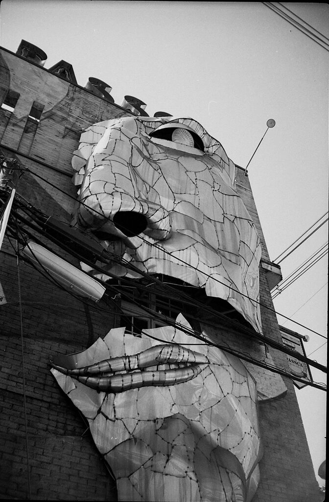 FACE
