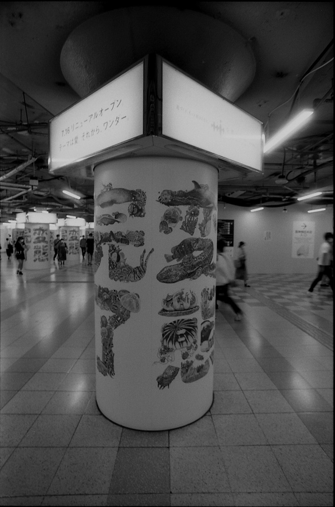 変態完了