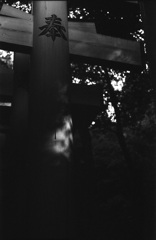 伏見稲荷千本鳥居５