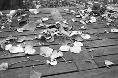 デコレーション