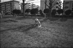 トラ
