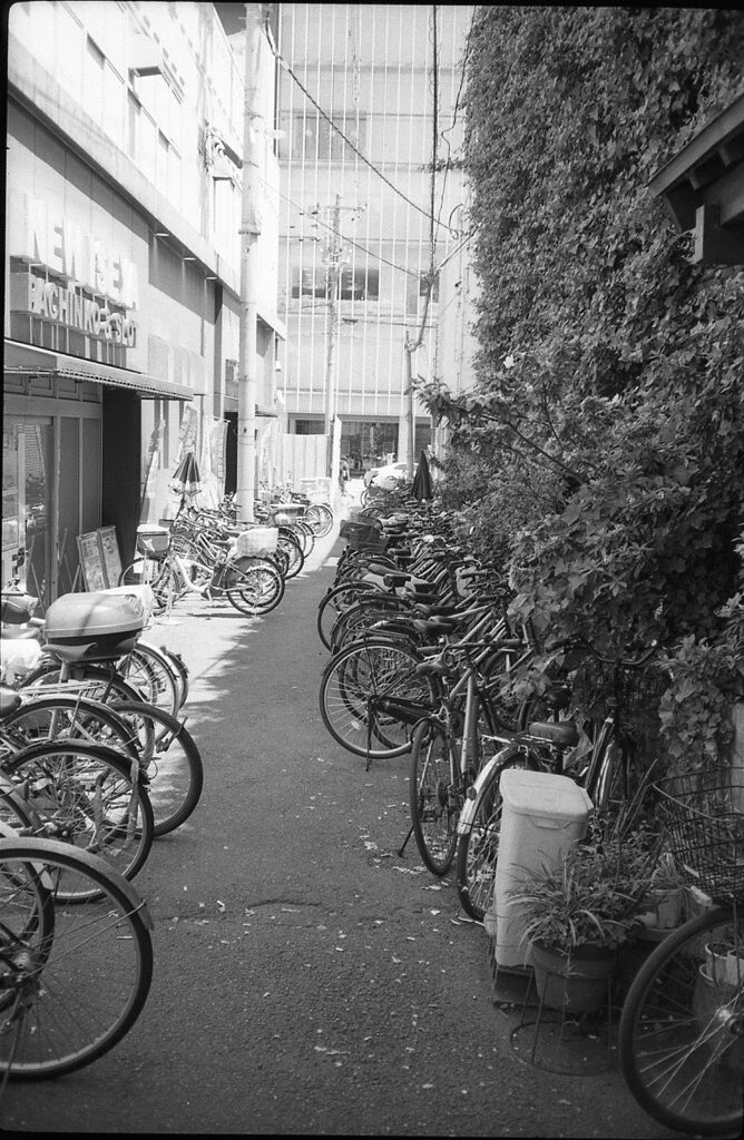 裏通り