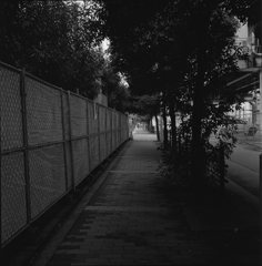 緑のトンネル