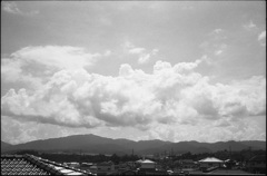 夏雲