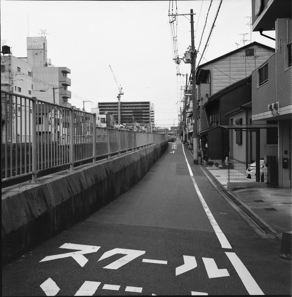 川沿いの道