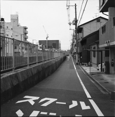 川沿いの道