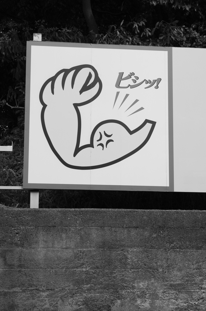ビシッ！