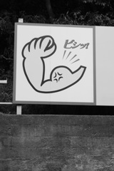 ビシッ！
