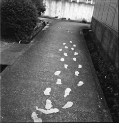 あしあと