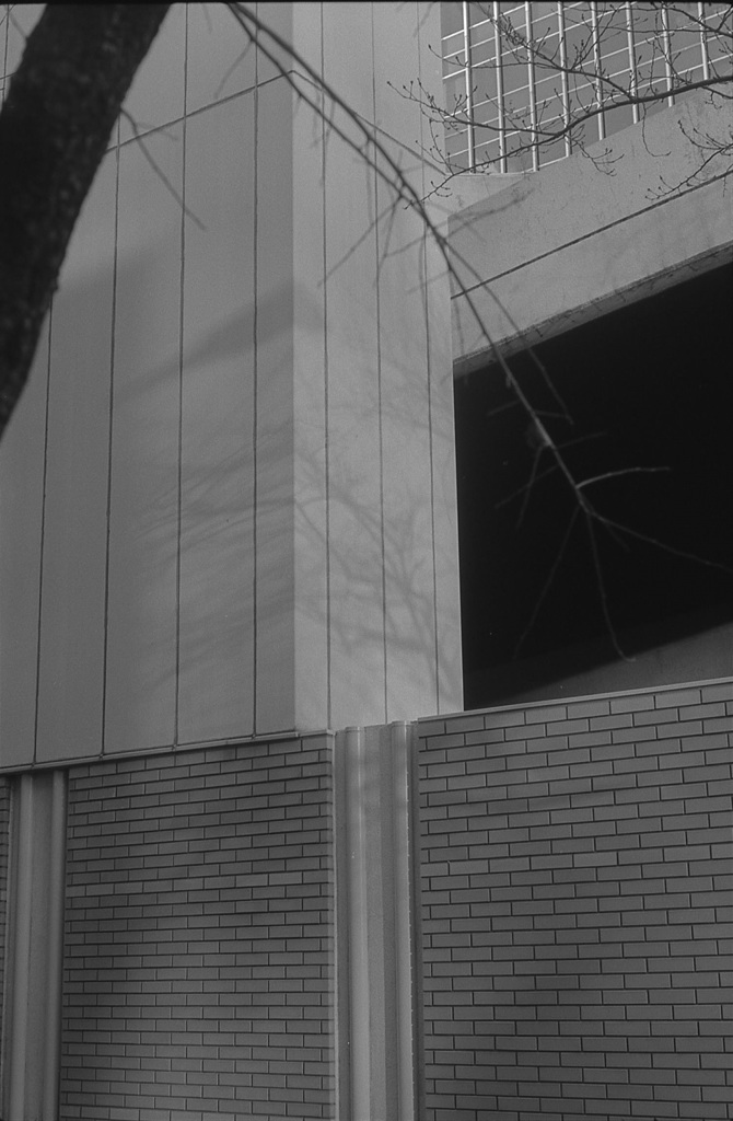 うっすらと･･･