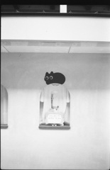 黒猫