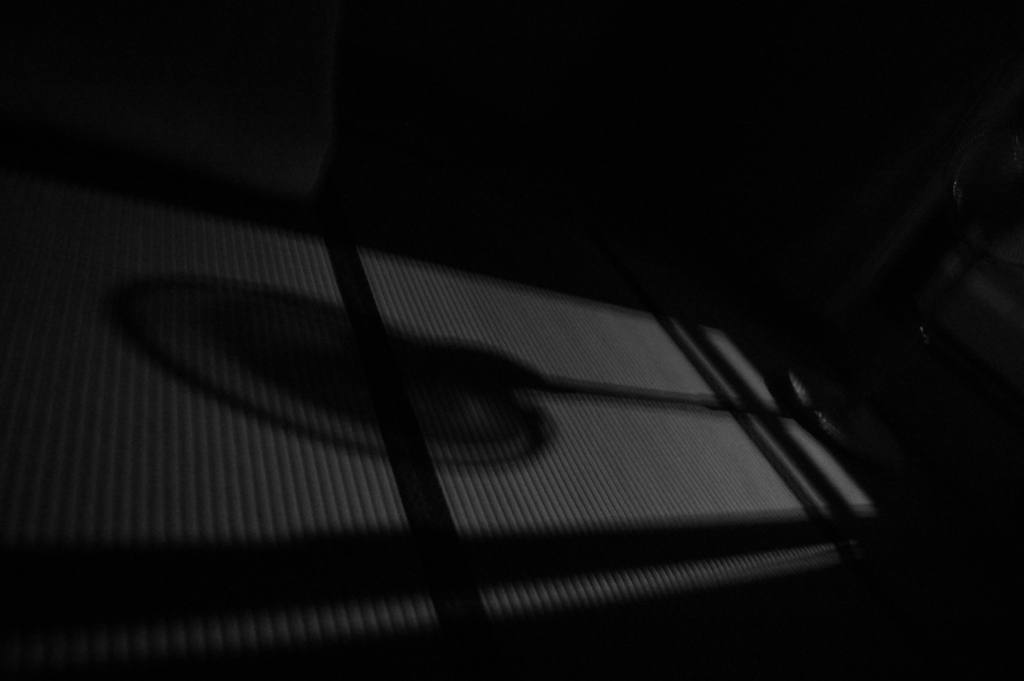 MOON LIGHT