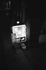 毛遊び